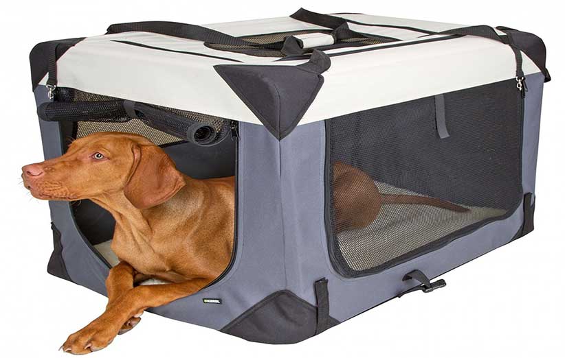 استفاده از باکس حمل برای سگ