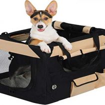 استفاده از باکس حمل برای سگ‌ها