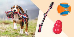 اسباب بازی سگ 2 210507 dog toys bd 2x1 1
