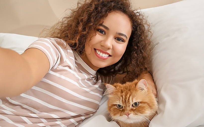 نکات قبل از خرید و به سرپرستی گرفتن گربه 2 cat body language