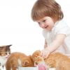 آشنایی بچه گربه و گربه بالغ با کودکان آشنایی بچه گربه با کودک: قبل از آنکه بچه گربه را به کودکتان معرفی کنید و به آن ها بگویید که اسباب بازی نیست و گربه ها هم همانند انسان ها درد را احساس می کنند و باید مراقب آن ها باشند. همچنین نحوه ی بغل کردن و نوازش گربه را به آن ها آموزش دهید. کودک را روی صندلی با تکیه گاهی بنشانید و به او کمک کنید که گربه را بغل کرده و نوازشش کند. توجه داشته باشید که اگر گربه احساس نا امنی کند و یا به درستی تعادلش در زمان بغل کردن حفظ نشود، ممکن است که فرار کند و یا در وضعیت نامتعادلی قرار بگیرد. به کودک خود اجازه دهید که به گربه غذا و آب بدهد اما فراموش نکنید که وظیفه ی اصلی سرپرستی گربه با شماست و سایر وظایف نگهداری از گربه مانند: تمیزکردن ظرف خاک، شانه زدن، مراقبت های پزشکی و... همگی برعهده ی شما و یا فرد بزرگسال دیگری خواهد بود. برخورد کودک با بچه گربه حتماً باید تحت نظارت و سرپرستی فرد بزرگ تر صورت گیرد. این کار برای سلامتی کودک و بچه گربه بسیار ضروری است. اگر نوزاد تازه به دنیا آمده ای در خانه دارید، توصیه می کنیم که گربه ای که به سرپرستی می گیرید حتماً بالای 4 ماه باشد. گربه ای که حداقل 4 ماهش باشد بهتر می تواند با کودکان ارتباط برقرار کند.