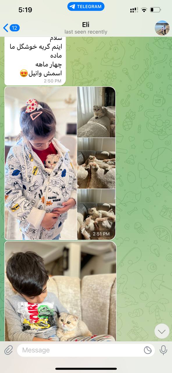 درباره پتریزو 5 IMG 20230313 092020 027 1