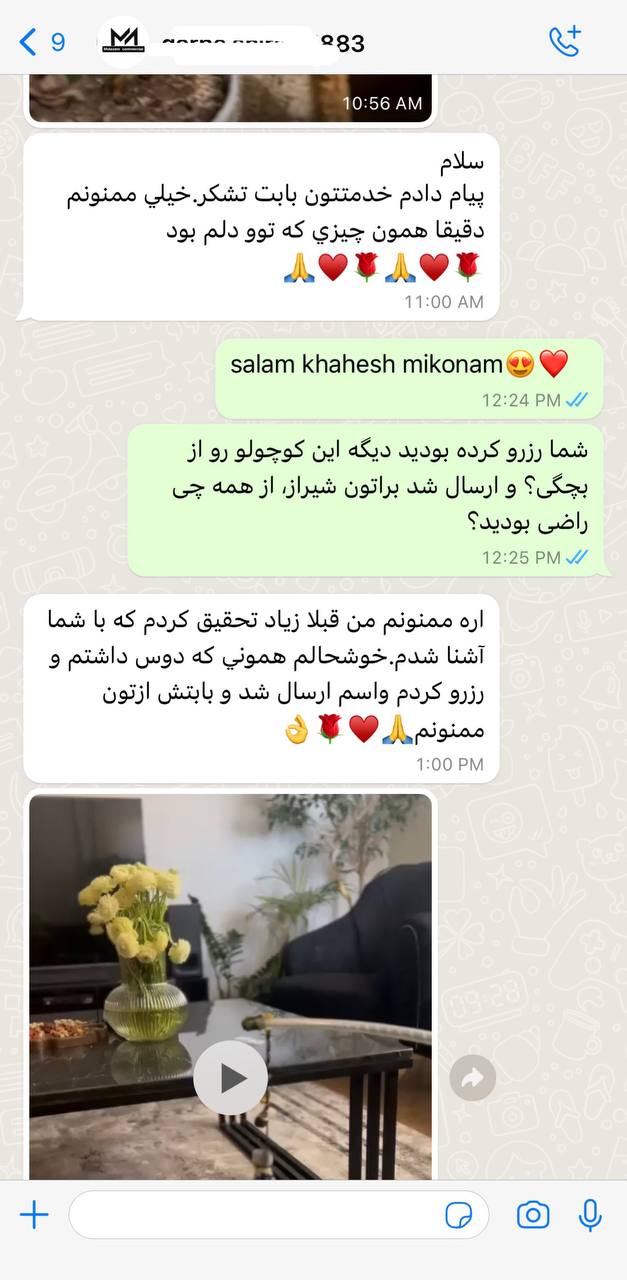 درباره پتریزو 3 IMG 20230313 092053 233 1